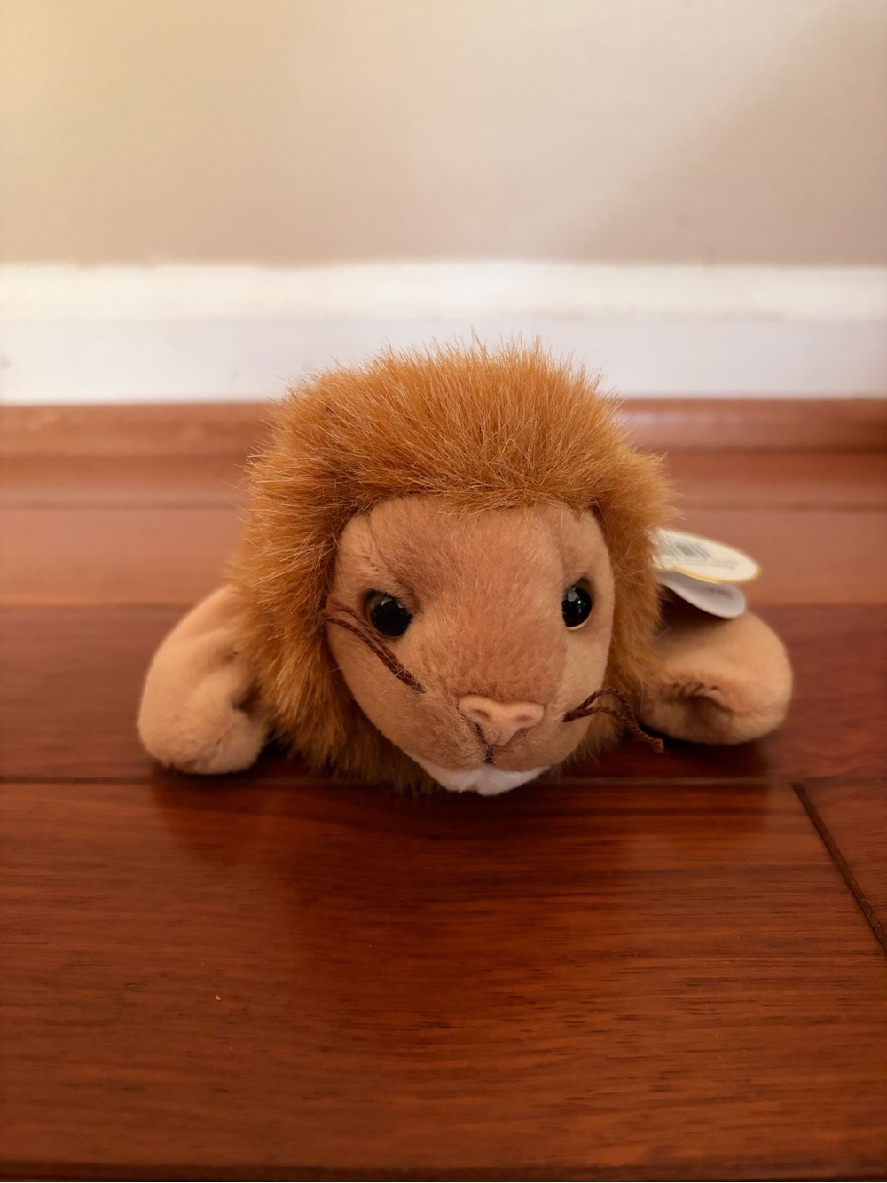 “Roary” Beanie Baby